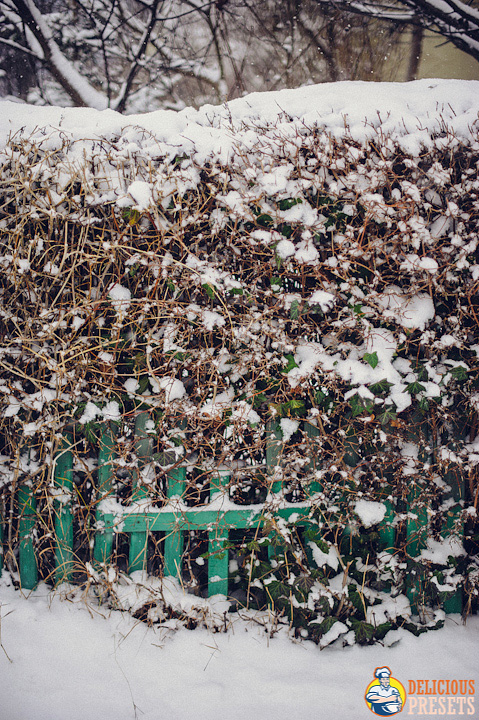 Lightroom Presets for Winter