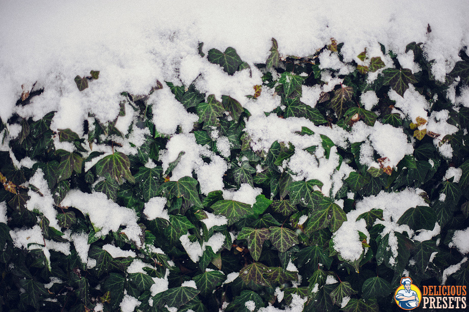 Lightroom Presets for Winter Landscapes