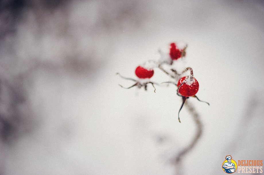 Winter Lightroom Presets