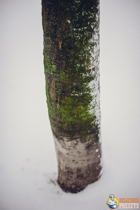 Professional Lightroom Presets for Winter Landscape Photography